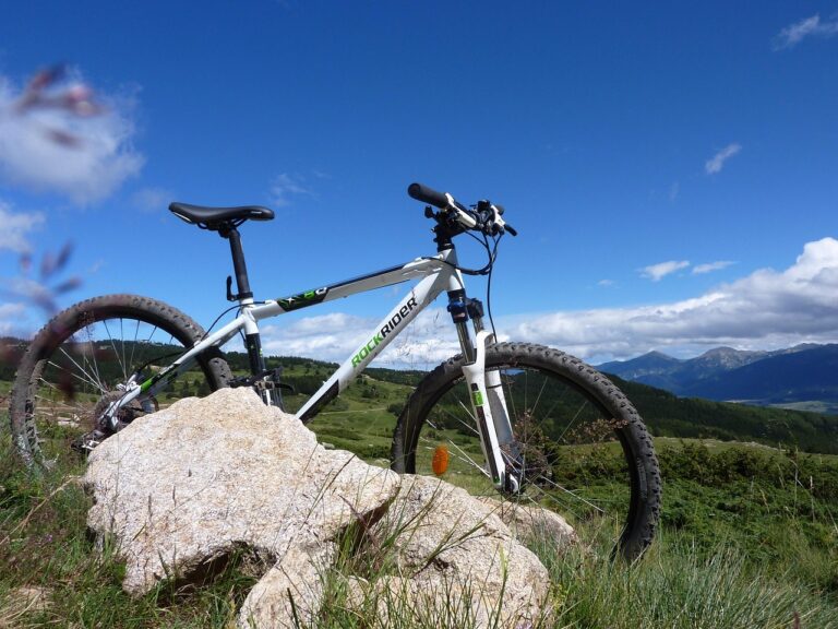 bici