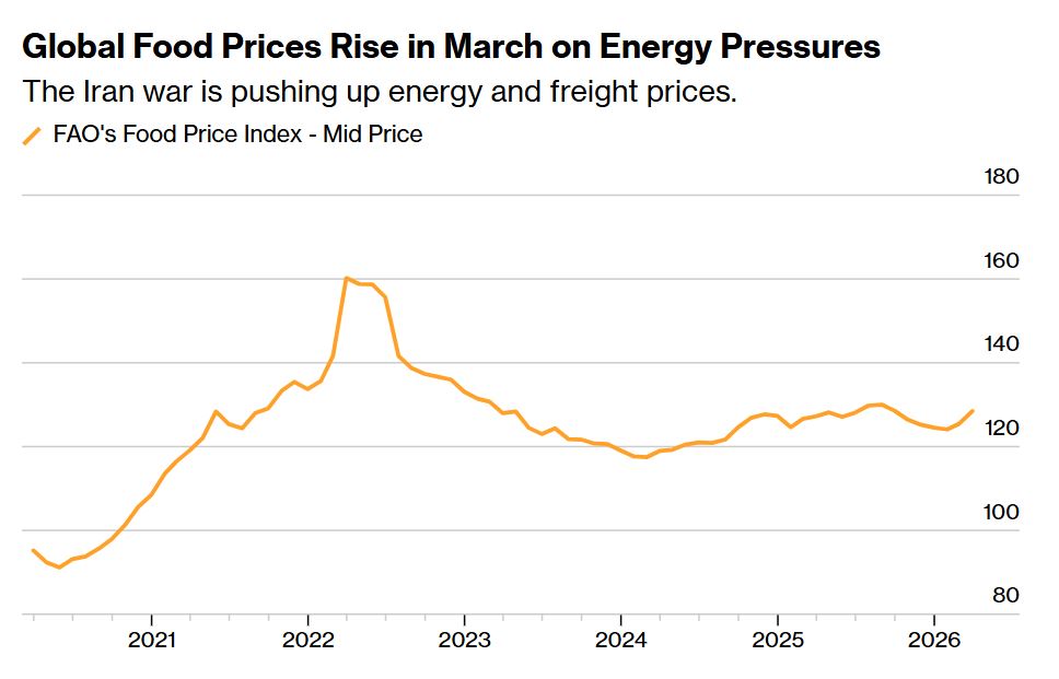 guerra aumento prezzi cibo