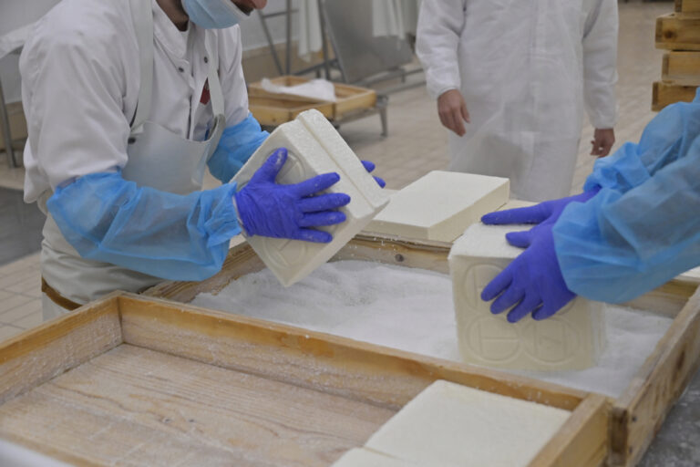 produzione taleggio