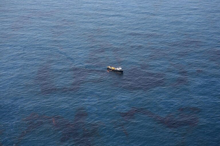 disastro petrolifero golfo del messico