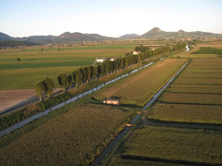agricoltura
