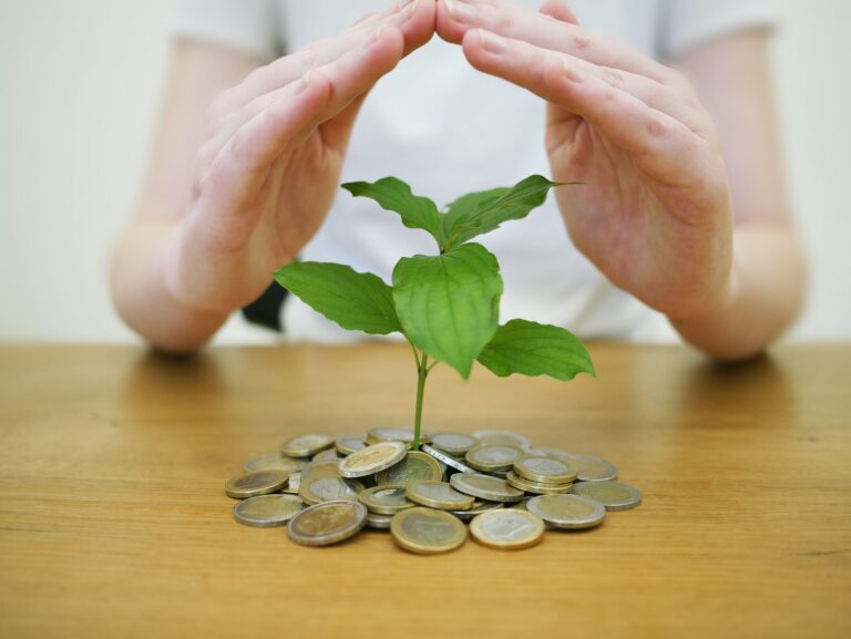 venture capital